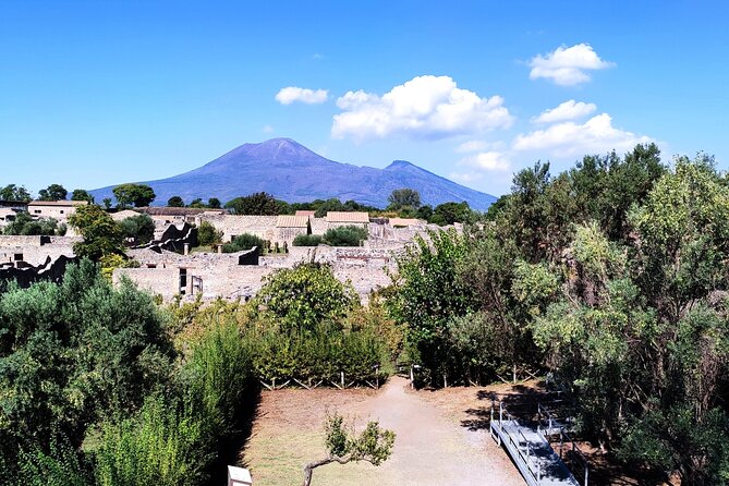 2 Hours Private Tour in Pompeii with Archaeologist - Stop 3: Praedia di Giulia Felice, a Look at Elite Private Property