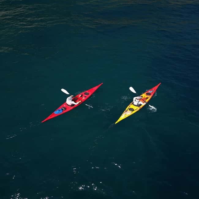Amalfi Coast: Kayak & Snorkeling tour, sea caves and beach - Marmorata Waterfall and sea caves: the coast’s best tricks happen by water