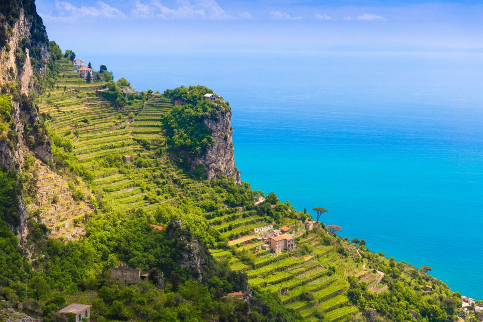 Amalfi: Cooking Class and Farmhouse Visit With Meal - Logistics in Amalfi: meeting point, timing, and what to bring