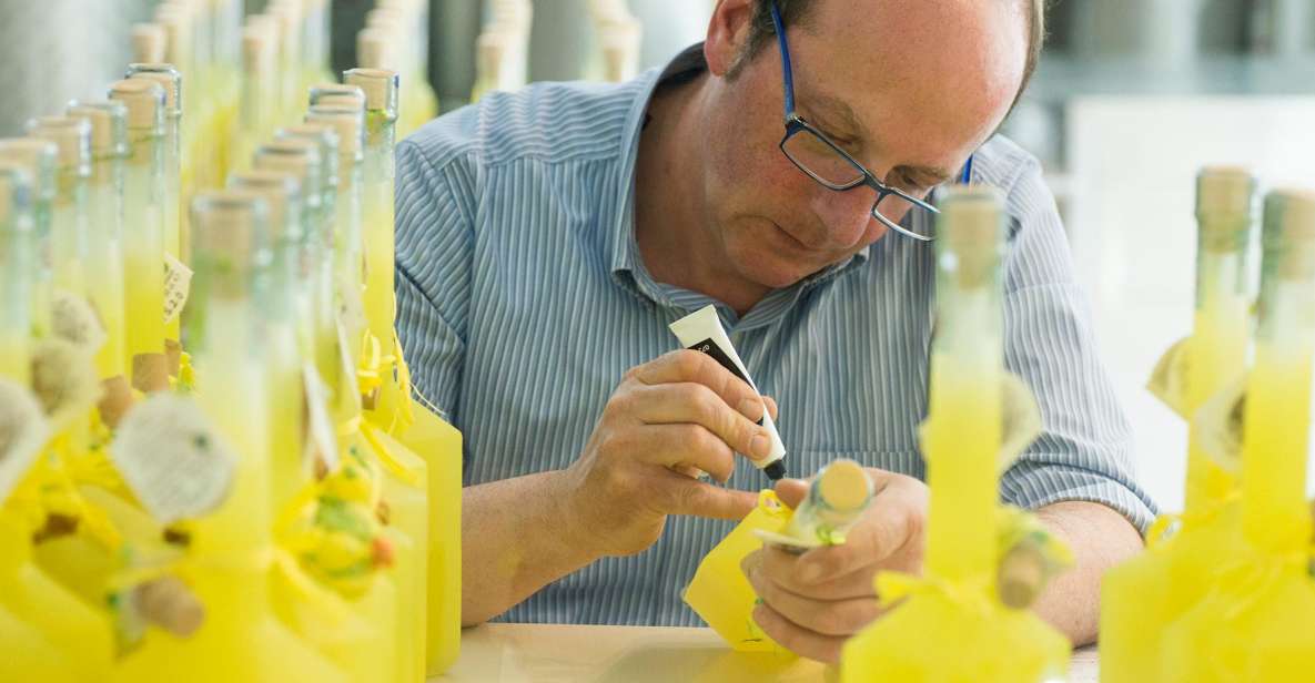 Amalfi: Vertical Lemon Farm Tour, Tastings, and Rural Museum - From Via delle Cartiere to a Real Farm Above Amalfi