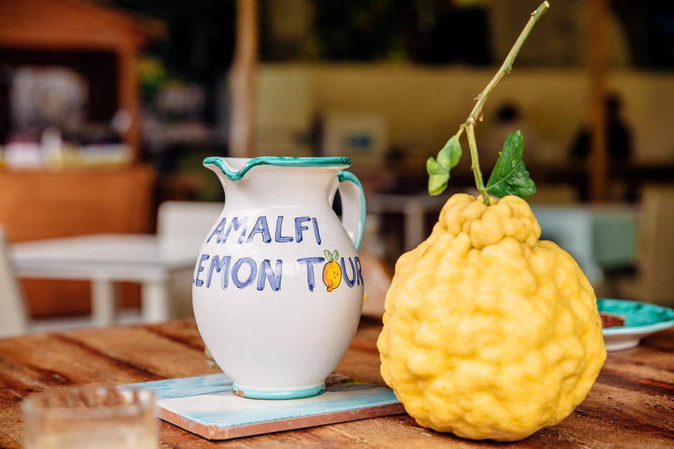 Amalfi: Vertical Lemon Farm Tour, Tastings, and Rural Museum - Who This Tour Fits Best (and Who Should Skip)