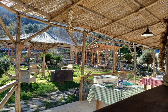 Authentic Farm Tour with Pizza, Cheese, Wine & Limoncello Tasting - A family-run farm above Sorrento: what you’re really booking