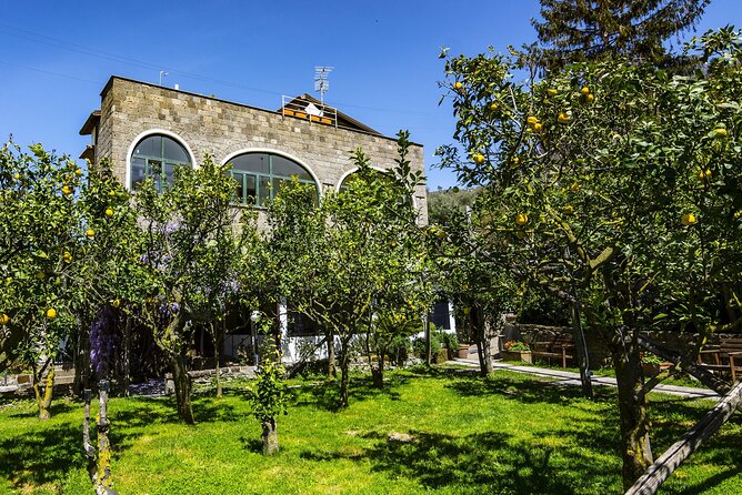 Backroads & Limoncello Experience: Sorrento E-Bike Tour - Key things I think you’ll care about