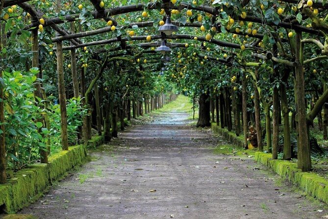 Backroads & Limoncello Experience: Sorrento E-Bike Tour - Who the named guides are, and why they matter