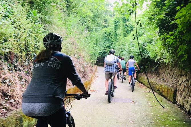 Backroads & Limoncello Experience: Sorrento E-Bike Tour - Olive and lemon trees plus Capri views: what the coastal route feels like