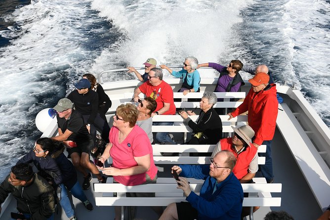 Capri Coast to Coast: Boat Tour with Optional Blue Grotto - Seating, Sound, and Rough-Water Chances