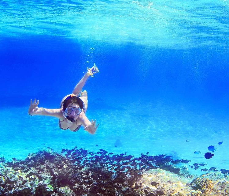 From Amalfi: Capri Island Boat Tour with Snorkeling & Drinks - Key highlights worth your attention