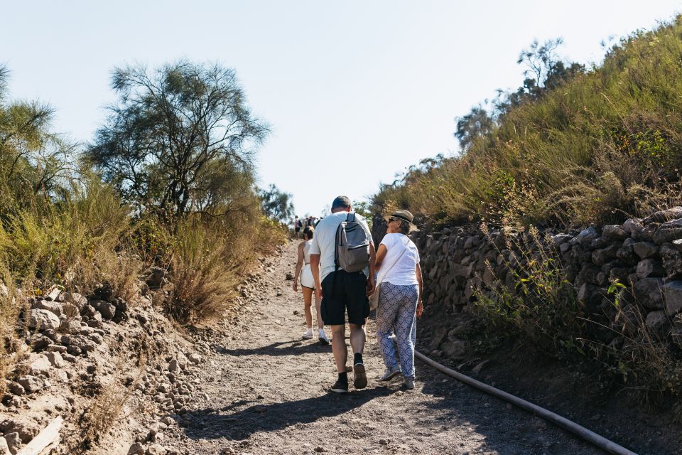 From Naples: All-Inclusive Mount Vesuvius Half-Day Tour - Should you book this Mount Vesuvius half-day shuttle?