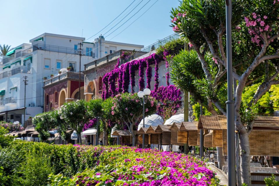 From Naples: Capri, Anacapri, and Blue Grotto Full-Day Trip - Getting oriented on Capri: Shuttle bus + guide stories