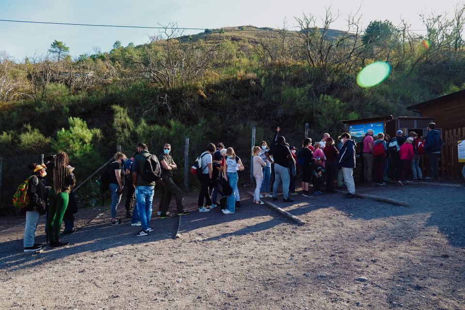 From Pompeii: Mount Vesuvius Guided Tour with Transfer - Panorama time and pacing: why the tour feels well-managed