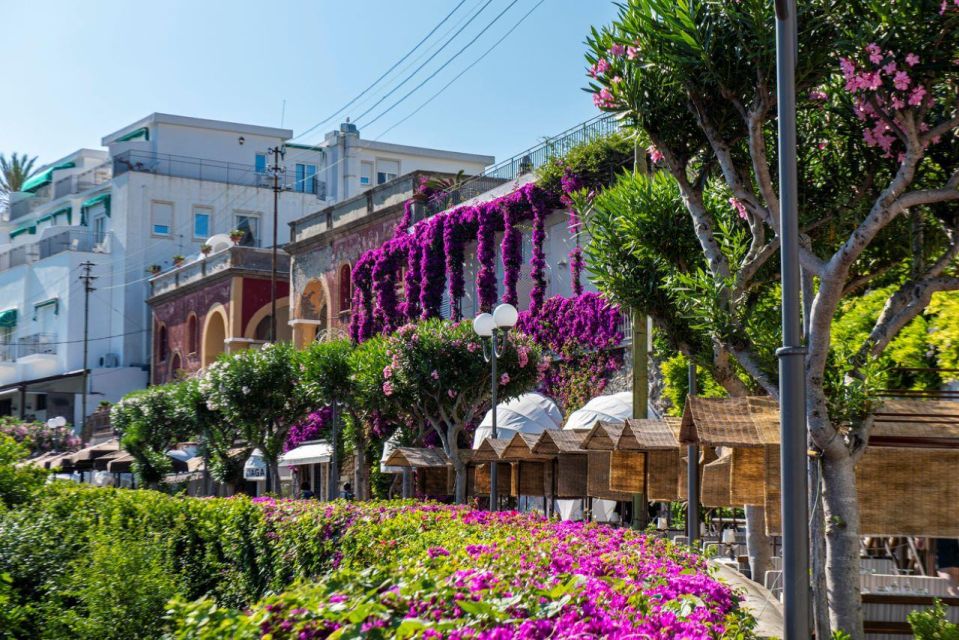 From Sorrento: Capri, Anacapri, & Blue Grotto Full-Day Trip - Who should book this Capri full-day trip