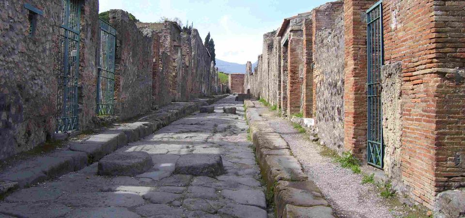 From Sorrento: Day Tour to Pompeii Ruins and Mount Vesuvius - Mount Vesuvius and the crater-lip walk: what to expect (and what to bring)