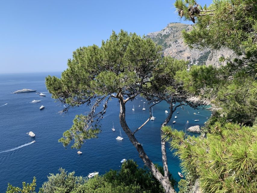 From Sorrento: Day Trip to Capri & Anacapri with Blue Grotto - Key things to know before you go