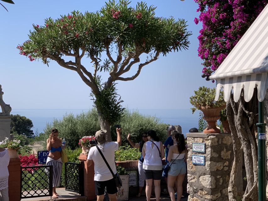 From Sorrento: Day Trip to Capri & Anacapri with Blue Grotto - Capri town walk: Piazzetta, Clock Tower views, and the Certosa detour