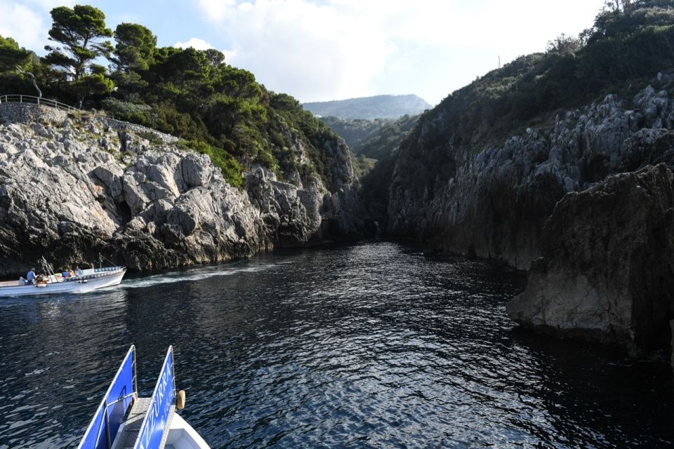 From Sorrento: Day Trip to Capri with Blue Grotto - Timing tips inside Capri town and Anacapri