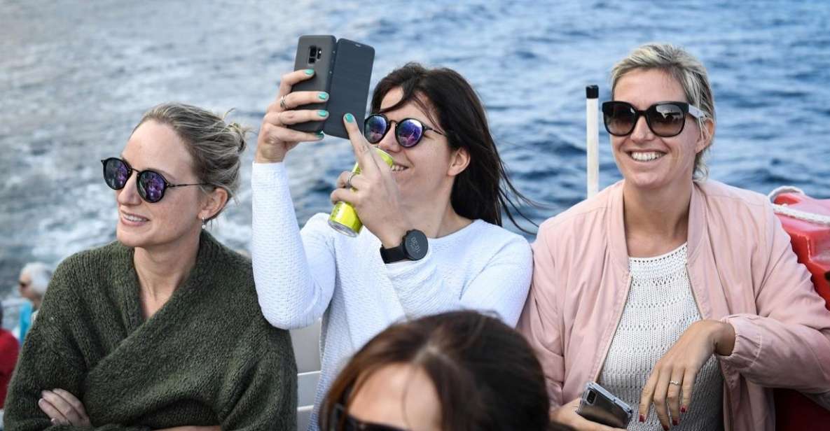 From Sorrento: Day Trip to Capri with Blue Grotto - From Sorrento to Capri: Marina Piccola to Marina Grande in the morning