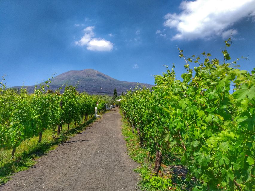 From Sorrento: Mount Vesuvius Tour with Lunch & Wine Tasting - Key Highlights You’ll Feel Immediately