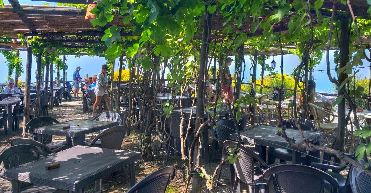 From Sorrento: Mount Vesuvius Tour with Lunch & Wine Tasting - From Sorrento to Vesuvius: The Coach Ride Sets the Mood