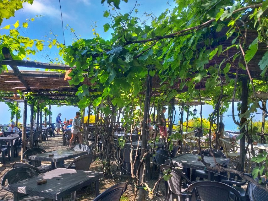 From Sorrento: Mount Vesuvius Tour with Lunch & Wine Tasting - The Wine Country Side: Vineyards and a Winery Stop at the Base