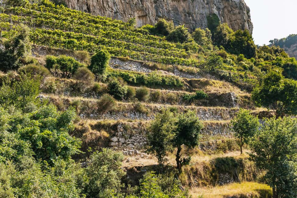 From Sorrento: Path of the Gods Guided Hike with Transfers - What the mule tracks feel like in real time