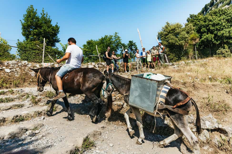 From Sorrento: Path of the Gods Guided Hike with Transfers - The shepherd’s hut stop: where the day turns human