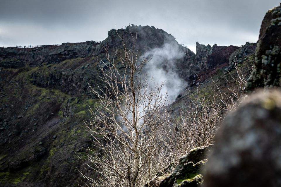 From Sorrento: Pompeii and Vesuvius Guided Tour with Lunch - Price and value: is $130 a fair deal?