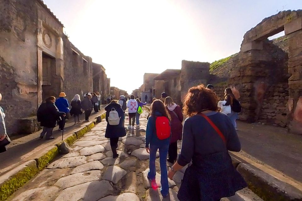 From Sorrento: Pompeii and Vesuvius Guided Tour with Lunch - Who this tour is best for (and who should rethink)