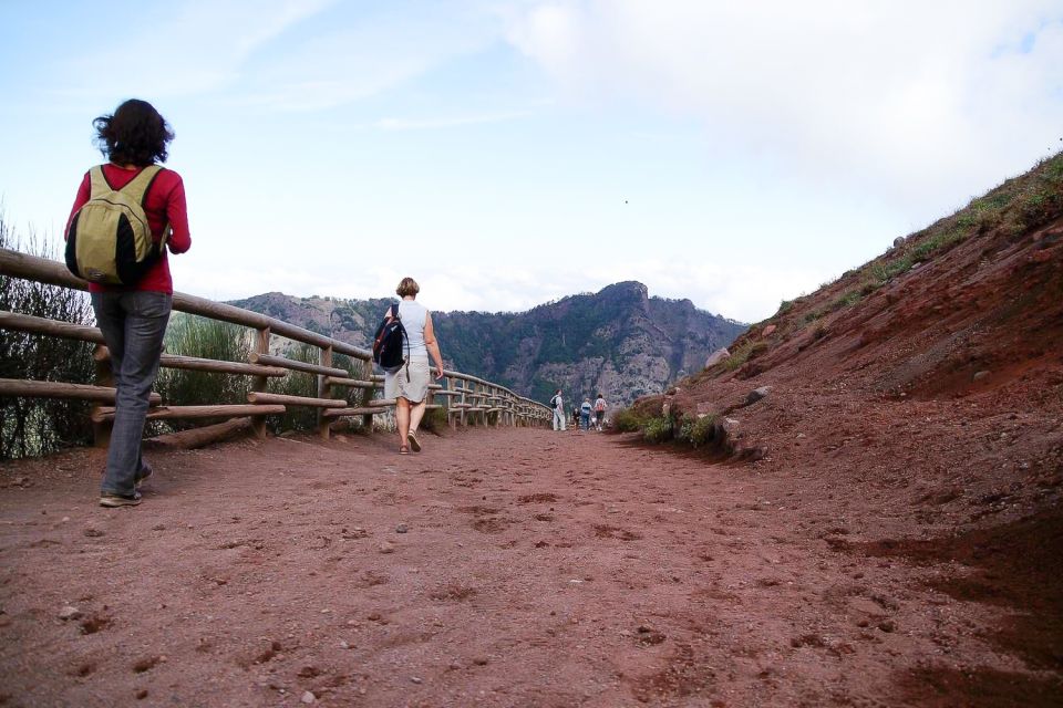 From Sorrento: Pompeii and Vesuvius Tour - Should You Book This Pompeii and Vesuvius Day Trip?