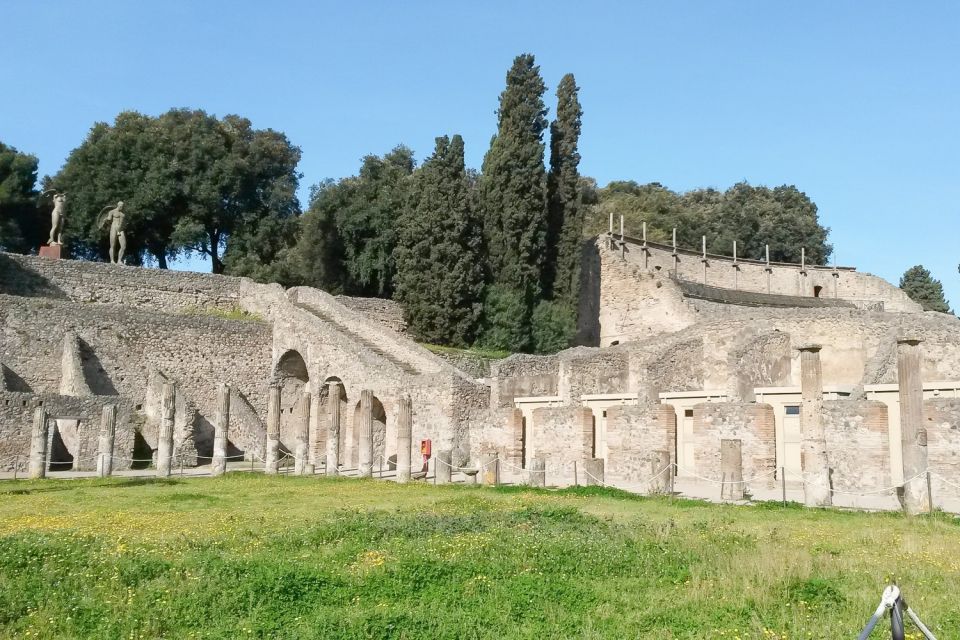 From Sorrento: Pompeii and Vesuvius Tour - Who This Tour Fits Best