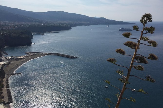 Full Day Private Sorrento & Amalfi Coast Tour from Positano - Amalfi’s Duomo di Sant’Andrea: a short stop with big architectural payoff