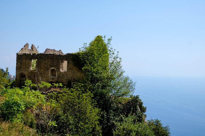 Guided Day Hike on the Path of the Gods with Sorrento Transfer - Price and logistics: is $105.26 good value?