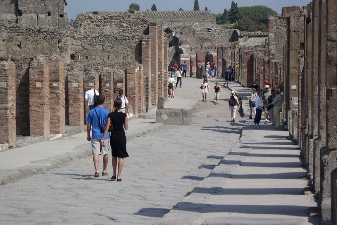 Guided Day Tour of Pompeii and Herculaneum with Light Lunch - Price and value: what $185.11 buys you