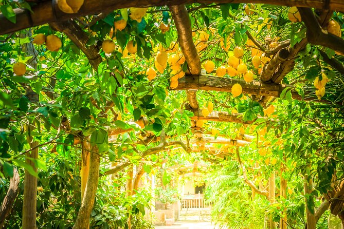 Hands-On Cooking Class & Farmhouse Tour on the Amalfi Coast - Price check: does $156 buy real value?