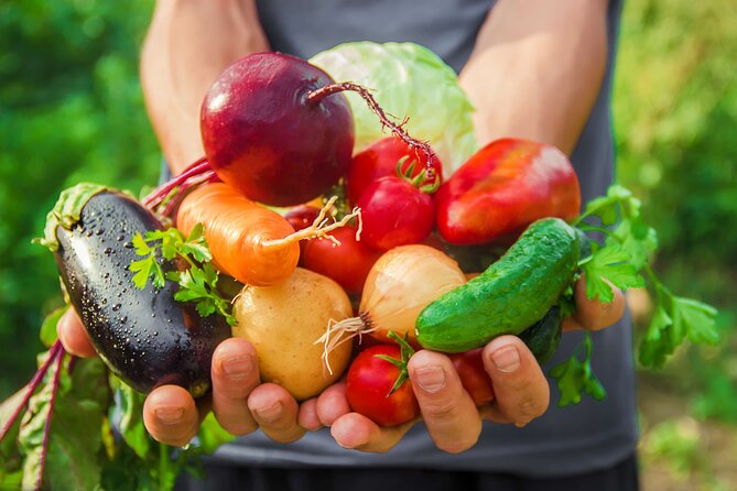Hands-On Cooking Class & Farmhouse Tour on the Amalfi Coast - Lemon grove to lunch: how the harvest part works