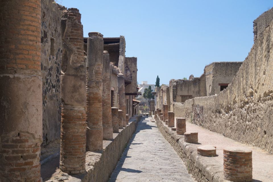 Herculaneum 2-Hour Private Guided Tour - Herculaneum: the Vesuvius city that stayed intact