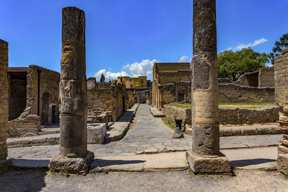 Herculaneum 2-Hour Private Guided Tour - Murals and artwork: why the colors survive