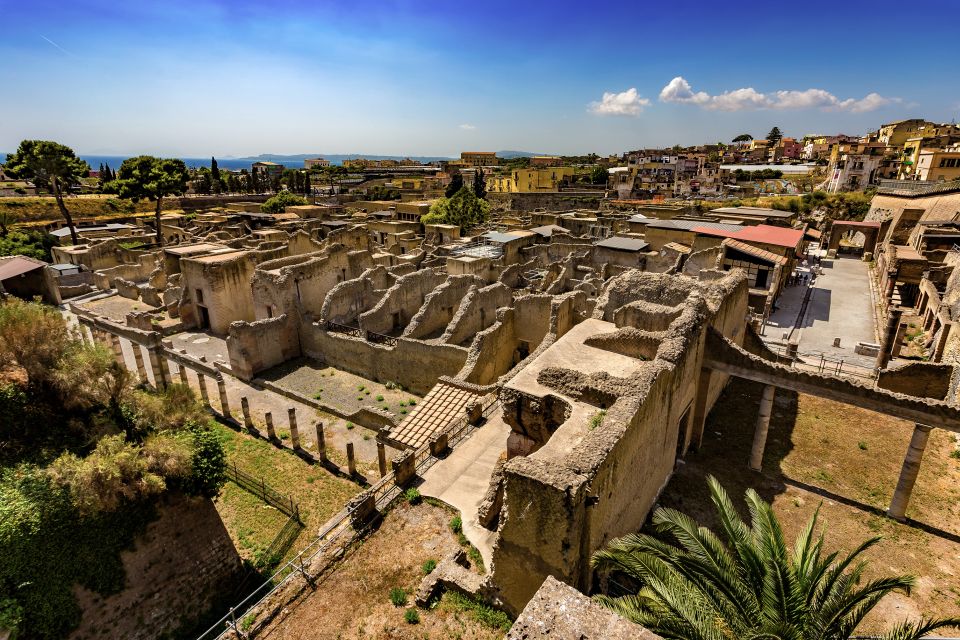 Herculaneum 2-Hour Private Guided Tour - Private guides make the ruins click