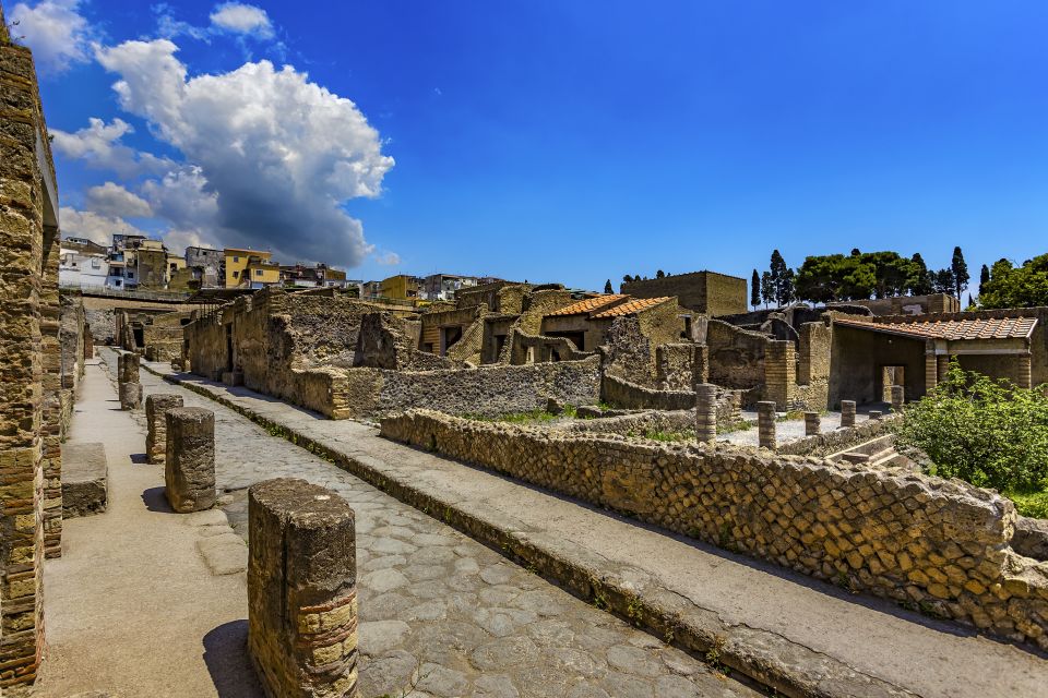 Herculaneum 2-Hour Private Guided Tour - Practical tips that will save you stress