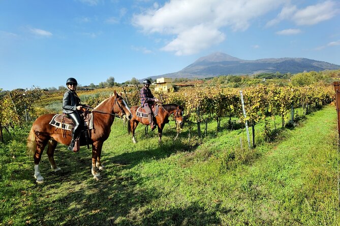 Horseback Riding on Vesuvius - Price and Value: Where Your $78.64 Per Person Makes Sense