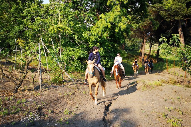 Horseback Riding on Vesuvius - The Horses, the Guides, and the Pace: Calm Animals and Safety Controls