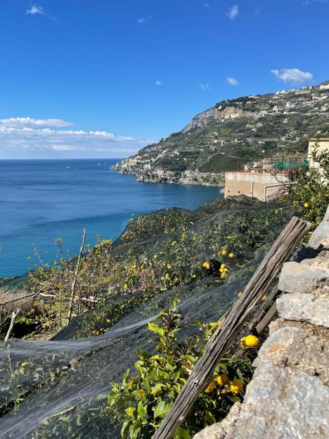Maiori: Amalfi Coast Path of Lemons Day Trip with Tastings - Key highlights at a glance