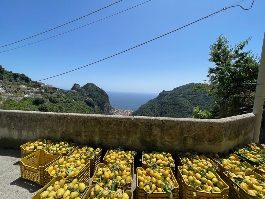 Maiori: Amalfi Coast Path of Lemons Day Trip with Tastings - Price and value: $59 plus the €15 farm stop