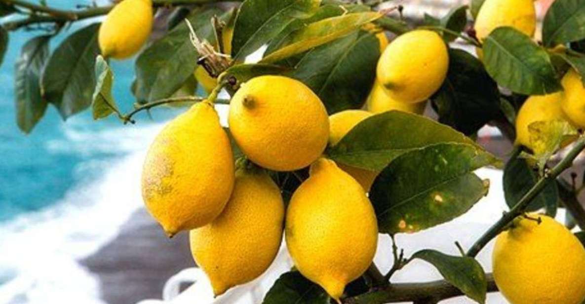 Maiori: Amalfi Coast Path of Lemons Day Trip with Tastings - Santa Maria a Mare and the climb toward Torre