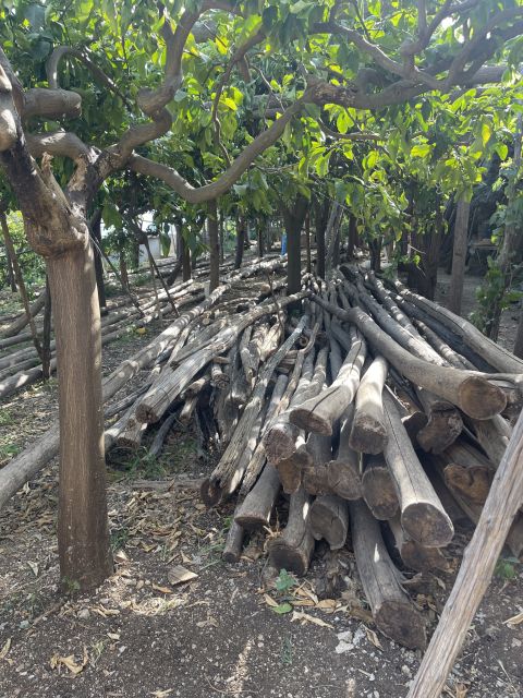 Maiori: Amalfi Coast Path of Lemons Day Trip with Tastings - How the tastings work (and how to eat like a local)