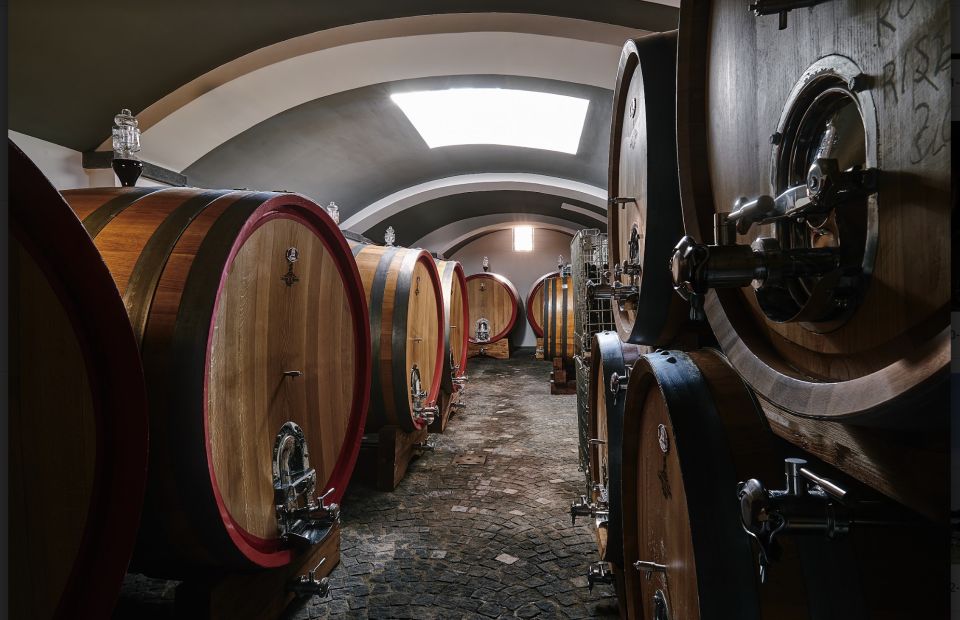 Mount Vesuvius: Vineyard Tour with Wine Tasting and Lunch - Who Should Book This Vesuvius Winery Experience