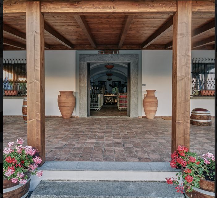 Mount Vesuvius: Vineyard Tour with Wine Tasting and Lunch - Organic Lacryma Christi DOC Tastings: White, Rosé, Red