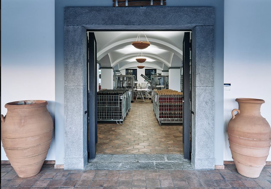Mount Vesuvius: Vineyard Tour with Wine Tasting and Lunch - Lunch With Local Ingredients and Wine Pairings That Actually Make Sense