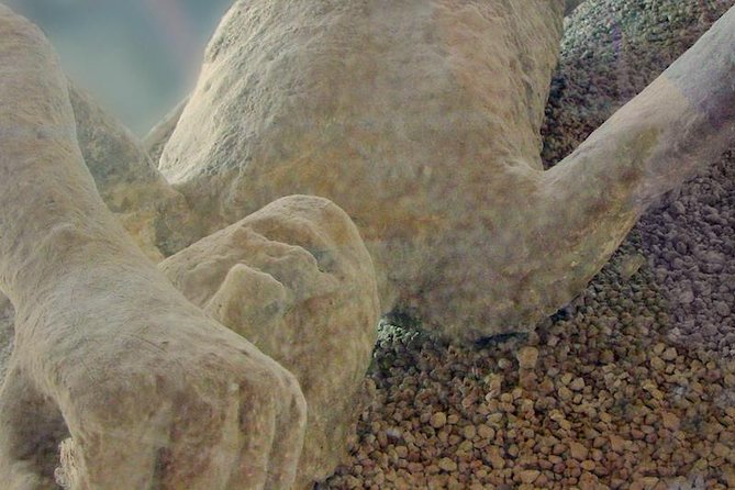 Mt Vesuvius and Pompeii Tour by Bus from Sorrento - What you should know about the bus ride and comfort