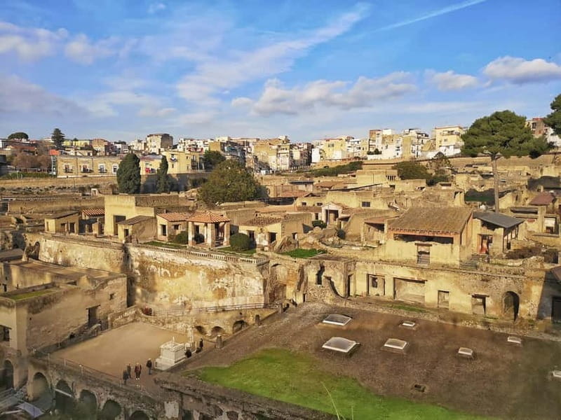 Naples: Herculaneum and Vesuvius Day Trip - Herculaneum Priority Entry: What Youll See in the Mosaic Houses