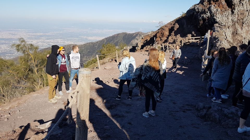 Naples: Herculaneum and Vesuvius Day Trip - Mt. Vesuvius by National Park Track: The 1,000-Meter Climb to the Crater